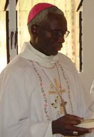 D. Jos Cmnate na Bissign, Bispo de Bissau