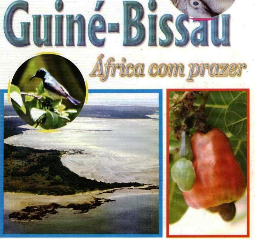 Image result for ministerio de turismo da guine bissau