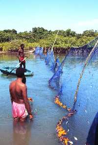 Pesca artesanal no Rio Buba