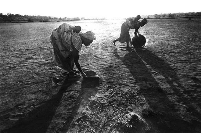 Farim, 2005, recolhendo lodo nas margens do rio Cacheu. Foto de Ernst Schade