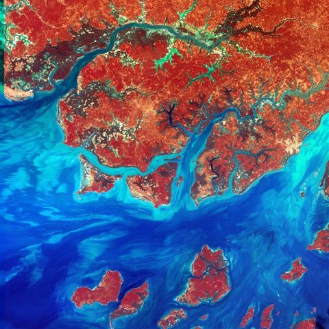 Imagem de Satlite sobre a Guin-Bissau. Editor: NASA