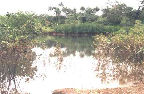 Tarrafe Guin-Bissau