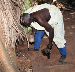 Cerimnia balanta Guin-Bissau