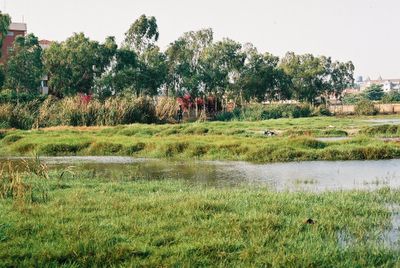 Foto de Carlos Galveias