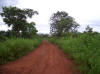 Guin-Bissau Foto de Paulo Salgado