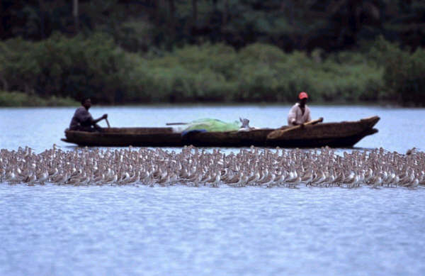 Ilha Formosa- Bijags Guin-Bissau Foto de JF. Hellio e N. Van Ingen