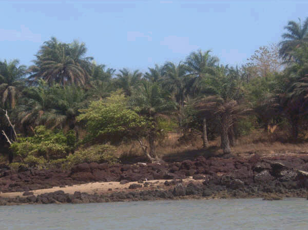 Ilha de Maio Bijags Foto de Paulo Salgado