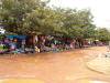 Vista parcial do mercado de Cantchungo - Norte da Guin-Bissau