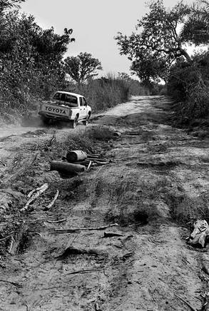 Estrada nacional entre Guiledje e Jemberem, Janeiro de 2006. Foto de Ernst Schade