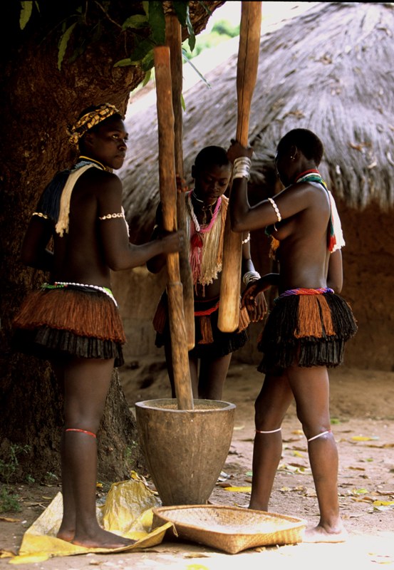 A arte de pilar Bijags Guin-Bissau Foto de JF. Hellio e N. Van Ingen