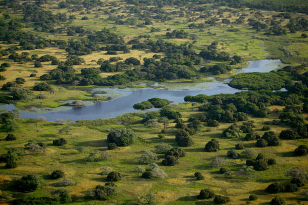 Ilha de Orango Bijags Foto de JF. Hellio e N. Van Ingen