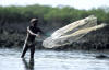 Pescador bijag Foto de JF.Hellio e N.Van Ingen